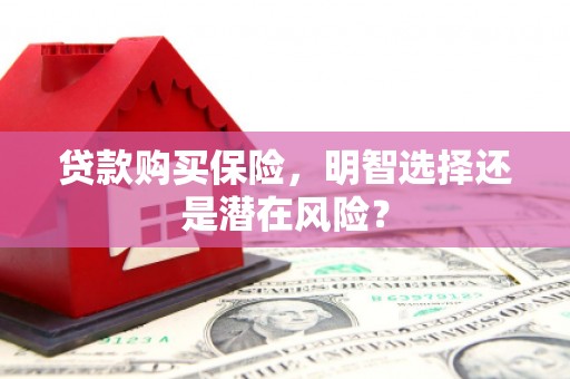 江宁贷款购买保险，明智选择还是潜在风险？