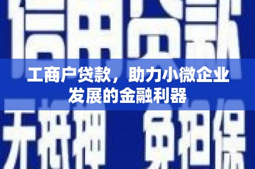 江宁工商户贷款,助力小微企业发展的金融利器 江宁工商户贷款,助力小微企业发展的金融利器