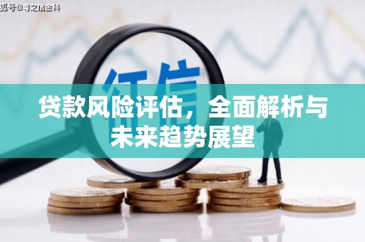 江宁贷款风险评估，全面解析与未来趋势展望
