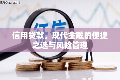 江宁信用贷款，现代金融的便捷之选与风险管理