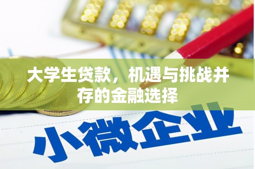 江宁大学生贷款，机遇与挑战并存的金融选择