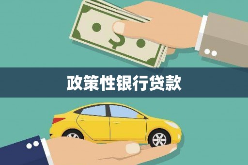江宁政策性银行贷款