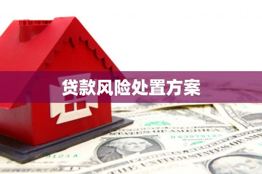 江宁贷款风险处置方案