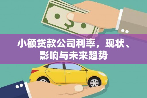 江宁小额贷款公司利率，现状、影响与未来趋势