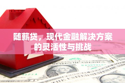 江宁随薪贷，现代金融解决方案的灵活性与挑战