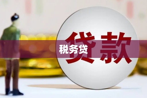 江宁税务贷