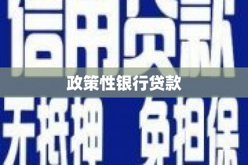 江宁政策性银行贷款