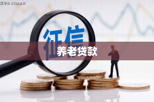 江宁养老贷款