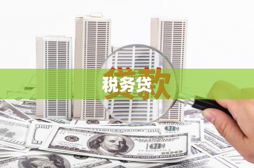 江宁税务贷
