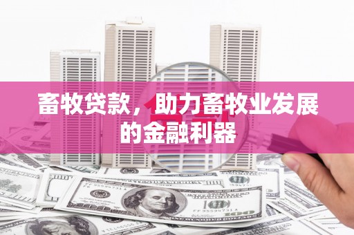 江宁畜牧贷款，助力畜牧业发展的金融利器