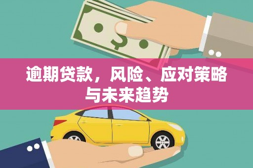 江宁逾期贷款，风险、应对策略与未来趋势