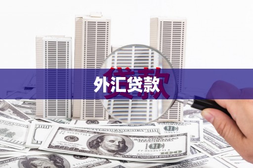 江宁外汇贷款