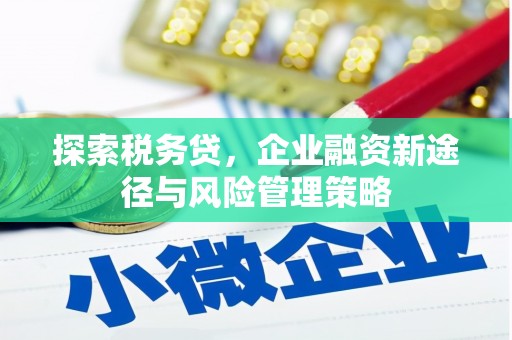 江宁探索税务贷，企业融资新途径与风险管理策略