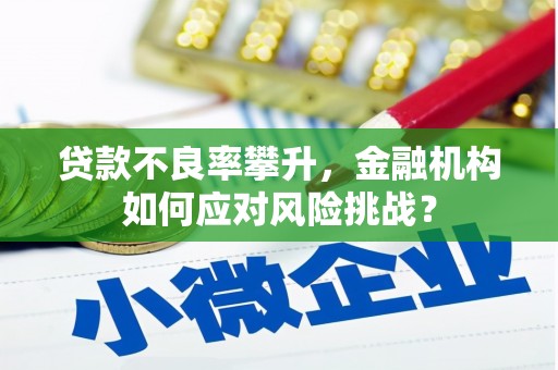 江宁贷款不良率攀升，金融机构如何应对风险挑战？