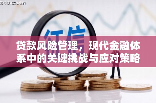 江宁贷款风险管理，现代金融体系中的关键挑战与应对策略