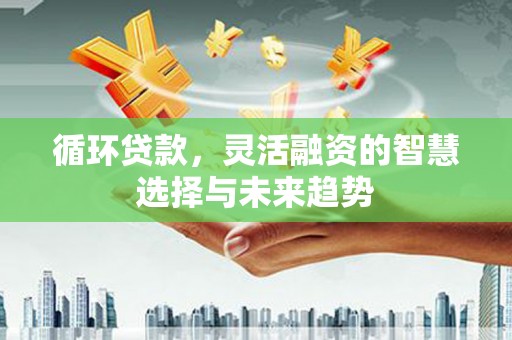 江宁循环贷款，灵活融资的智慧选择与未来趋势