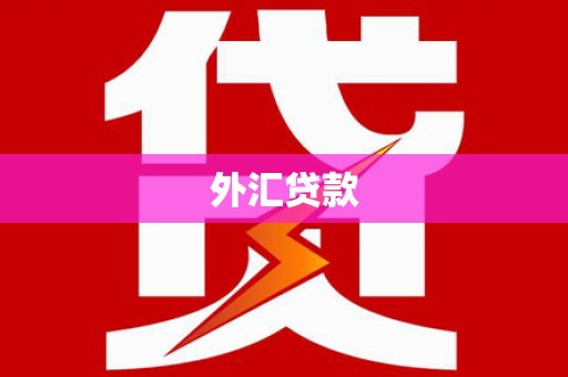 江宁外汇贷款