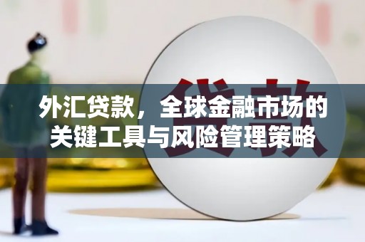 江宁外汇贷款，全球金融市场的关键工具与风险管理策略