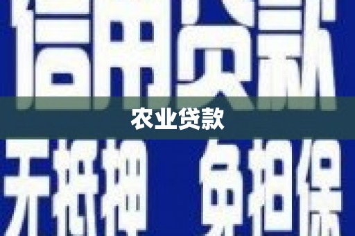 江宁农业贷款