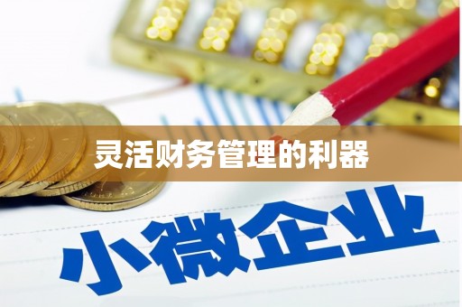 江宁灵活财务管理的利器