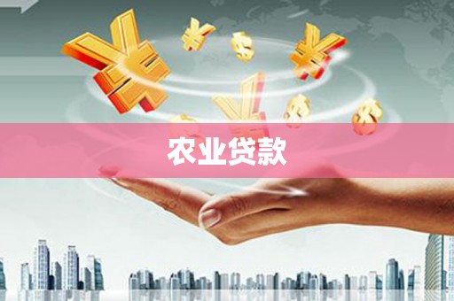 江宁农业贷款
