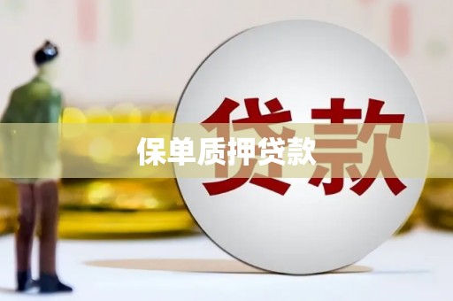江宁保单质押贷款