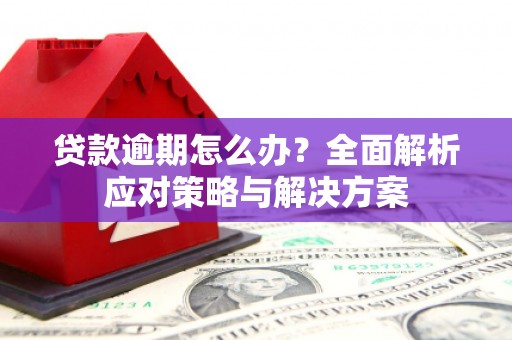 江宁贷款逾期怎么办？全面解析应对策略与解决方案