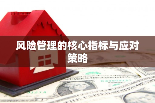江宁风险管理的核心指标与应对策略