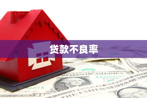 江宁贷款不良率