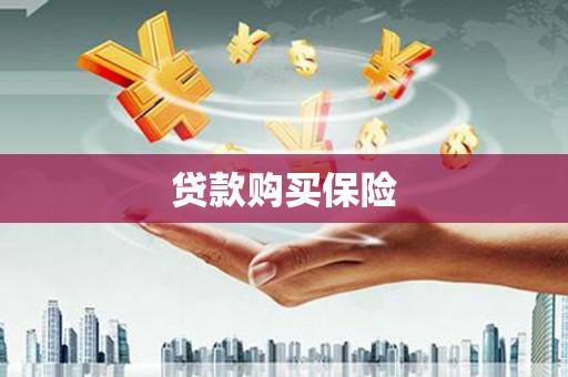 江宁贷款购买保险