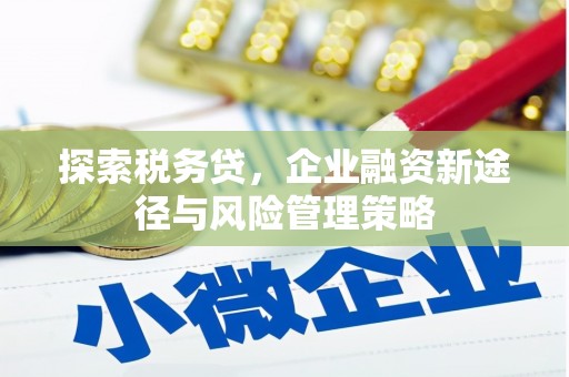 江宁探索税务贷，企业融资新途径与风险管理策略