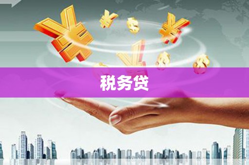 江宁税务贷