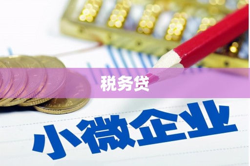 江宁税务贷