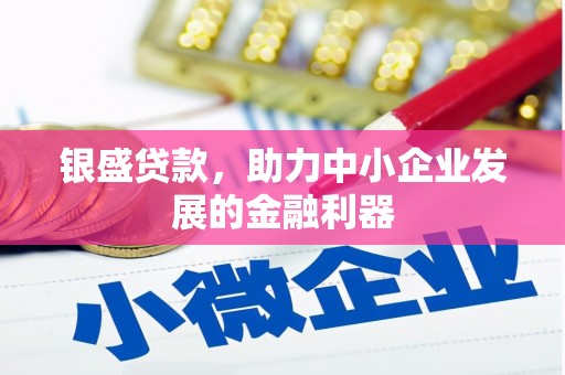 江宁银盛贷款，助力中小企业发展的金融利器