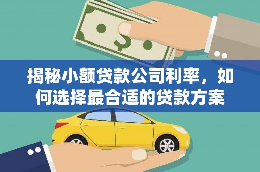 江宁揭秘小额贷款公司利率，如何选择最合适的贷款方案