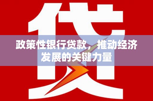 江宁政策性银行贷款，推动经济发展的关键力量
