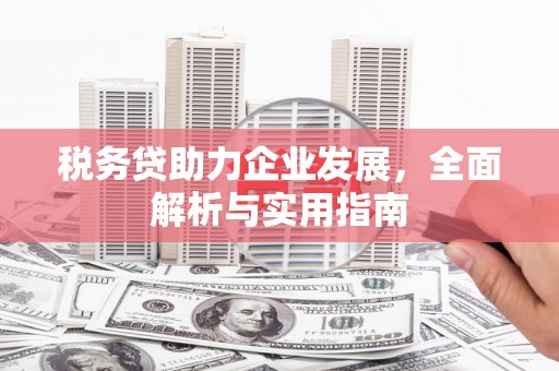 江宁税务贷助力企业发展，全面解析与实用指南