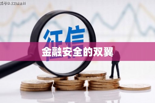 江宁金融安全的双翼