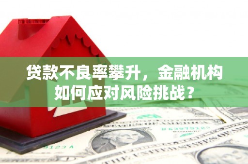 江宁贷款不良率攀升，金融机构如何应对风险挑战？