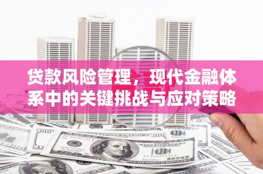 江宁贷款风险管理，现代金融体系中的关键挑战与应对策略