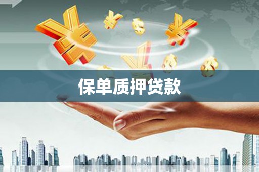 江宁保单质押贷款