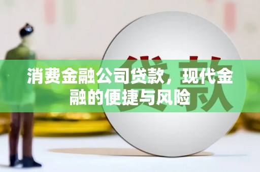 江宁消费金融公司贷款，现代金融的便捷与风险