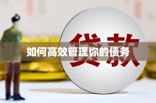 江宁如何高效管理你的债务