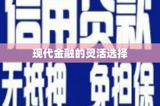 江宁现代金融的灵活选择
