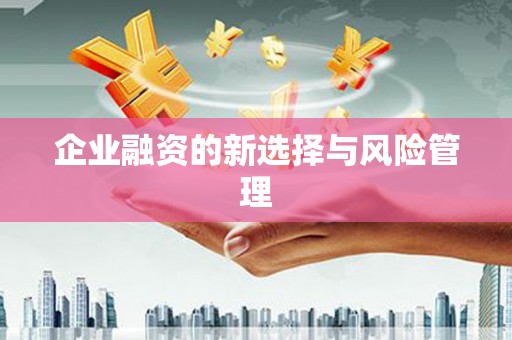 江宁企业融资的新选择与风险管理