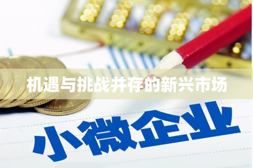 江宁机遇与挑战并存的新兴市场