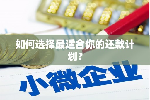 江宁如何选择最适合你的还款计划？