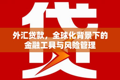 江宁外汇贷款，全球化背景下的金融工具与风险管理