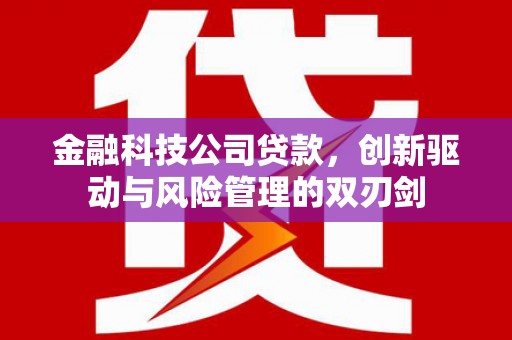 江宁金融科技公司贷款，创新驱动与风险管理的双刃剑