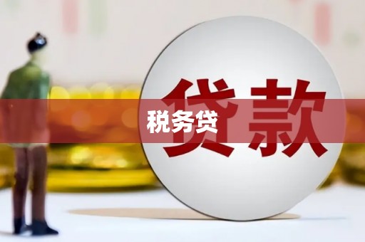 江宁税务贷